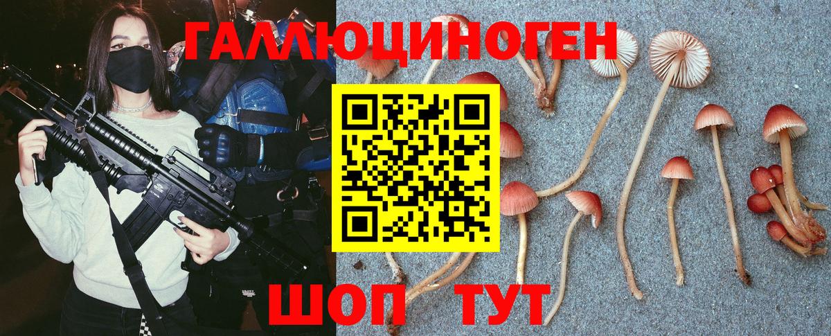 Северск  Галлюциногенные грибы ЛСД  Вход с VPN 