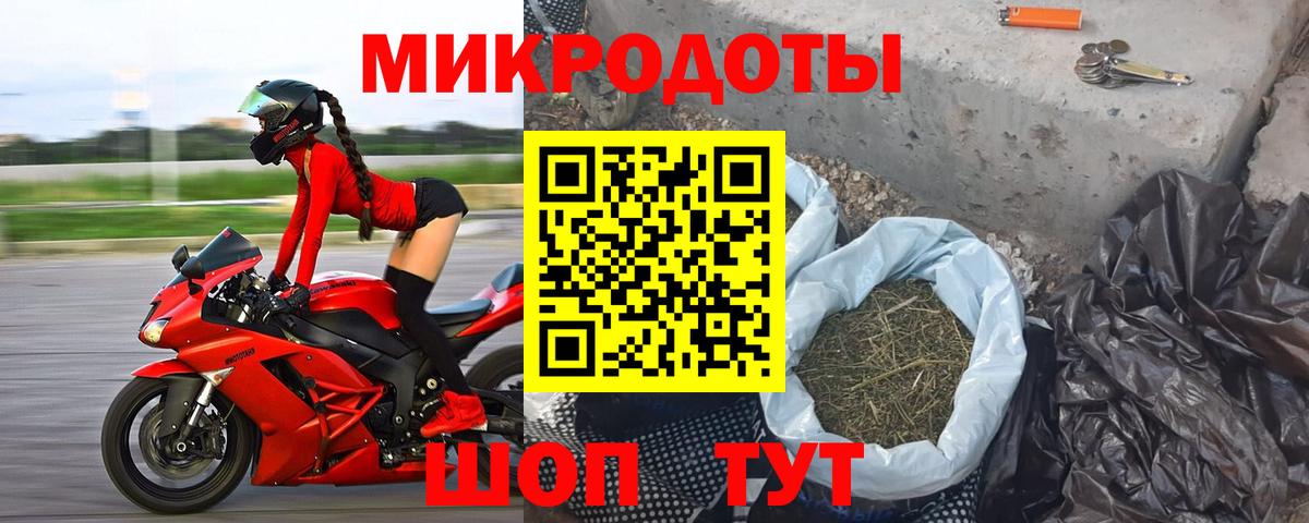 Галлюциногенные грибы Cubensis Северск