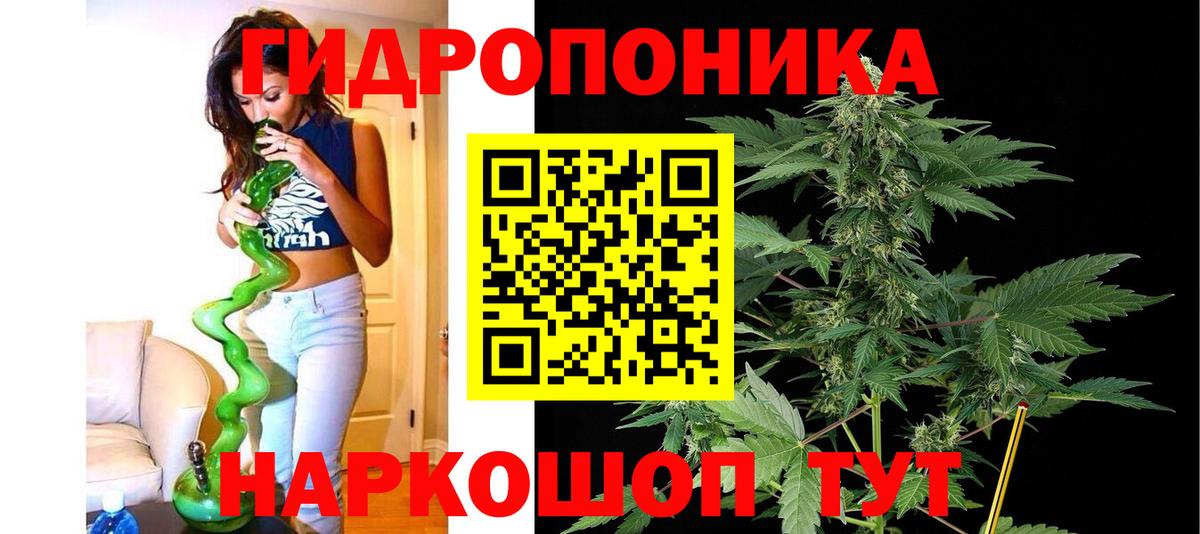 Северск  Конопля план  Конопля сатива  Марихуана White Widow  Вход с VPN 